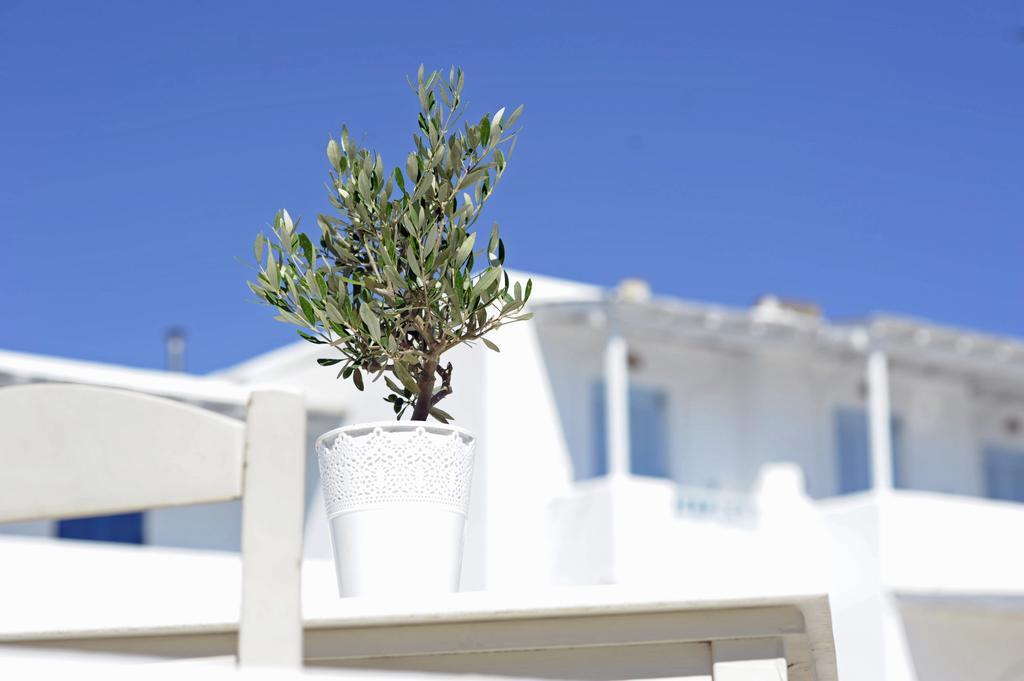 Galatis Beach Hotel Aliki  Exterior photo